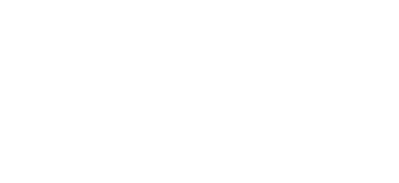پراگمیٹک logo